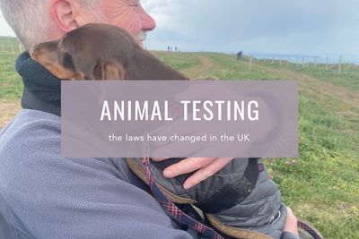 Animal Testing In The UK