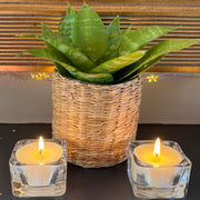 Cosy Spa soy wax tea light candles with plant