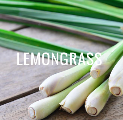 Lemongrass - Kitchen Favourite and Healthcare Champion