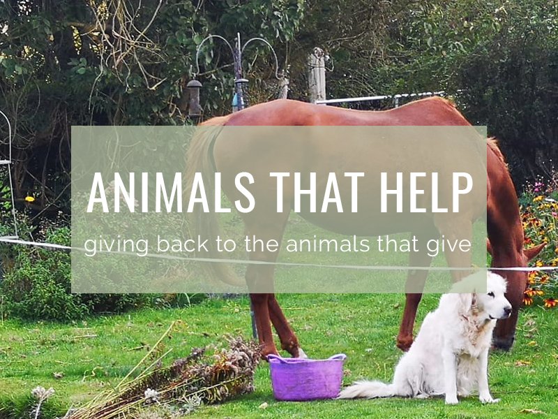Animals that Help the Environment - Cosy Cottage Soap