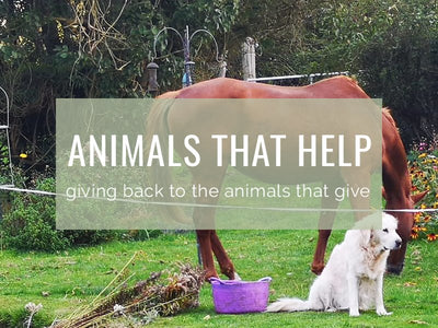 Animals that Help the Environment