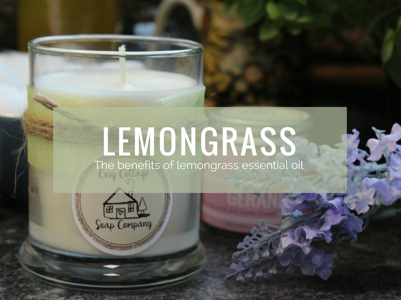 Brilliant Benefits of Lemongrass Essential Oil - Cosy Cottage Soap