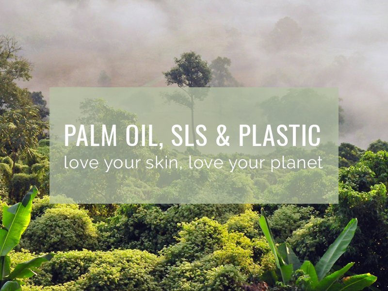 Plastic, Palm Oil & SLS: What you Need to Know - Cosy Cottage Soap