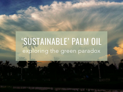 ‘Sustainable’ Palm Oil; The Green Paradox