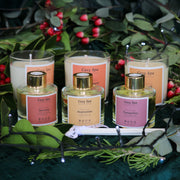 100ml Cosy Spa Exclusive Essential Oil Blend Diffusers