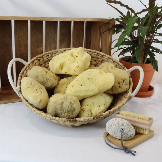 Large, natural sea sponges - Cosy Cottage Soap