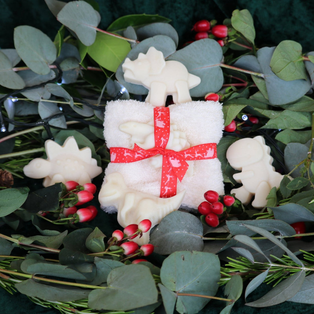 Soapy Dino Christmas Chum and Cloth Set - Cosy Cottage Soap