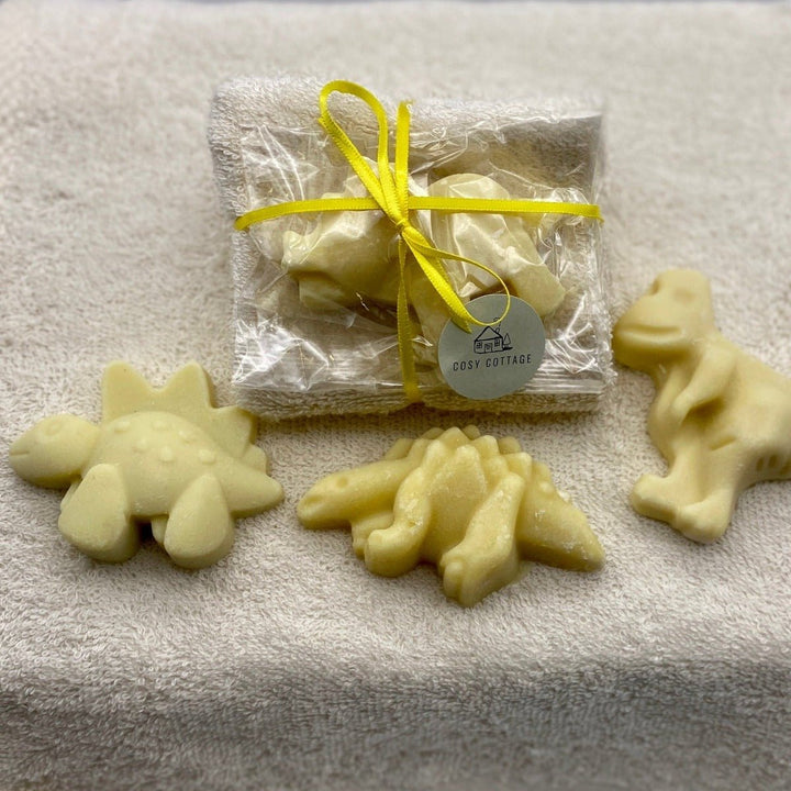 Soapy Dino Friend and Cloth Set - Cosy Cottage Soap