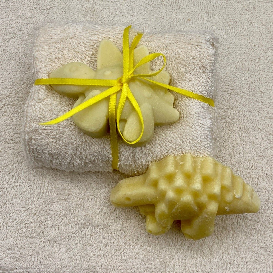 Soapy Dino Friend and Cloth Set - Cosy Cottage Soap