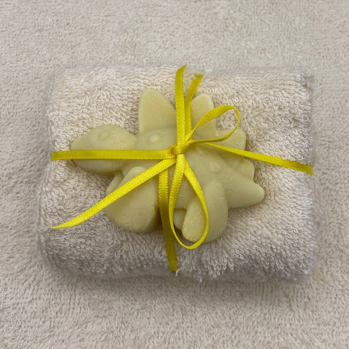 Soapy Dino Friend and Cloth Set - Cosy Cottage Soap