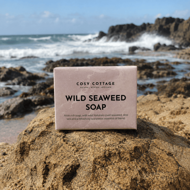 wild seaweed soap from Cosy Cottage