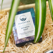 Seagrown seaweed soap in box