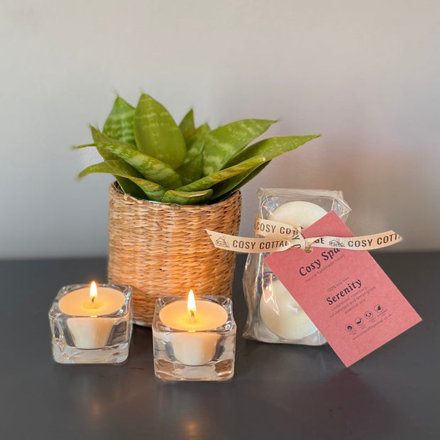 Cosy Spa soy wax tea light candles with plant
