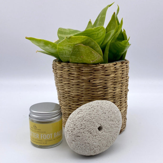 exfoliating natural pumice stone with mango butter foot balm and pot plant