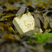 Unwrapped Seagrown seaweed soap bar on a bed of seaweed